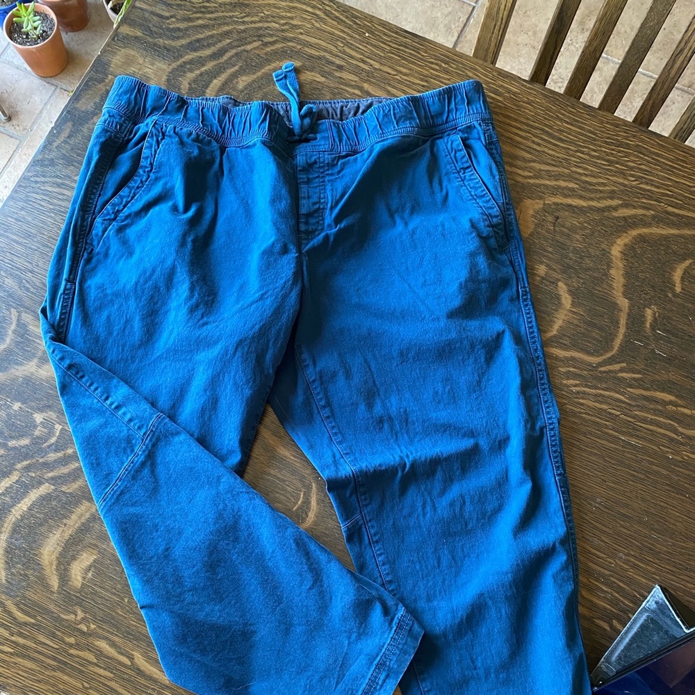 The north face pant